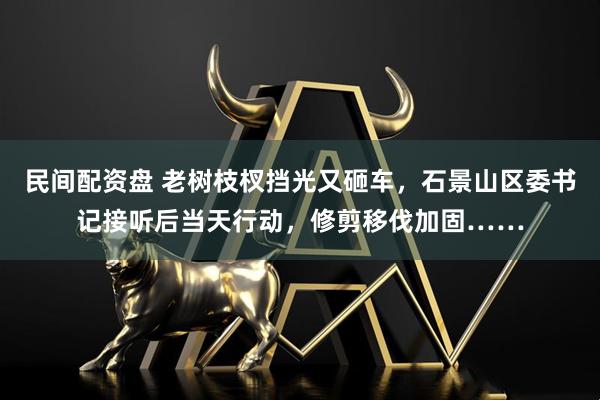 民间配资盘 老树枝杈挡光又砸车，石景山区委书记接听后当天行动，修剪移伐加固……